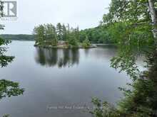 1293 CAUSEWAY DRIVE | Lake of Bays Ontario | Slide Image Fifteen