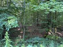 PT LT 26 CON 22 CENTRE Road N | Georgian Bluffs Ontario | Slide Image Four