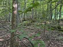 PT LT 26 CON 22 CENTRE Road N | Georgian Bluffs Ontario | Slide Image Nine