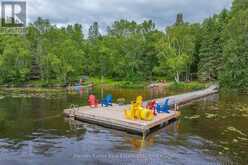34 LOGGING TRAIL | Huntsville Ontario | Slide Image Forty-two