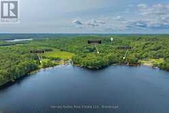 34 LOGGING TRAIL | Huntsville Ontario | Slide Image Seven