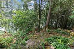 1093 PRESTIGE COURT | Haliburton Ontario | Slide Image Thirty-six