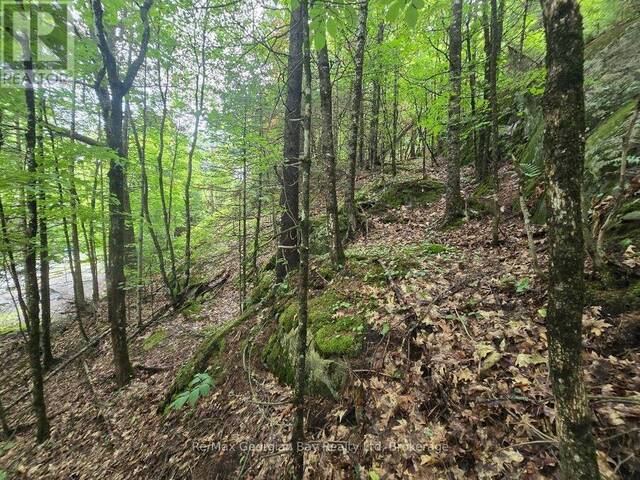 107 BALSAM CHUTES ROAD Huntsville Ontario, P0B 1L0 - Vacant Land For Sale