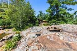 6 ISLAND 2050/TABASSAKWA ISLAND | Honey Harbour Ontario | Slide Image Thirty-nine