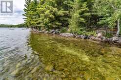 191 LONG POINT ROAD | Huntsville Ontario | Slide Image Ten