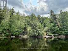 50 CACHE LAKE APL1322 | Dwight Ontario | Slide Image Thirty-eight