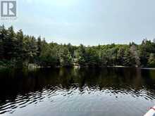 50 CACHE LAKE APL1322 | Dwight Ontario | Slide Image Thirty-nine