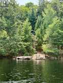 50 CACHE LAKE APL1322 | Dwight Ontario | Slide Image Three