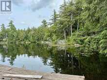 50 CACHE LAKE APL1322 | Dwight Ontario | Slide Image Forty