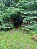 50 CACHE LAKE APL1322 | Dwight Ontario | Slide Image Fifty