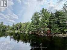 50 CACHE LAKE APL1322 | Dwight Ontario | Slide Image Seven