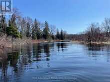 136B MAPLE ISLAND ROAD | Whitestone Ontario | Slide Image Two