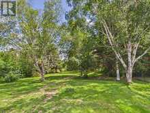 29 QUEEN STREET | Sundridge Ontario | Slide Image Forty-five