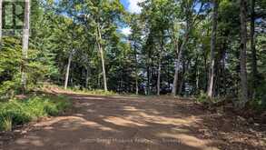 LOT 1 ESIG LANE | Huntsville Ontario | Slide Image Thirteen