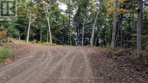 LOT 1 ESIG LANE | Huntsville Ontario | Slide Image Fourteen