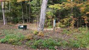 LOT 1 ESIG LANE | Huntsville Ontario | Slide Image Fifteen