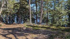 LOT 1 ESIG LANE | Huntsville Ontario | Slide Image Three