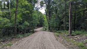 LOT 1 ESIG LANE | Huntsville Ontario | Slide Image Eight