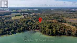 PT LT 3 HINDMAN SIDE ROAD | Shallow Lake Ontario | Slide Image Four