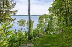 161 TOWN LINE ROAD E | Huntsville Ontario | Slide Image Five
