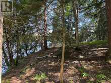 2 ISLAND 24LM (DENISON) | Gravenhurst Ontario | Slide Image Ten