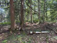 2 ISLAND 24LM (DENISON) | Gravenhurst Ontario | Slide Image Eleven