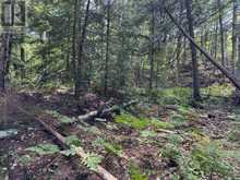 2 ISLAND 24LM (DENISON) | Gravenhurst Ontario | Slide Image Twelve