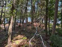 2 ISLAND 24LM (DENISON) | Gravenhurst Ontario | Slide Image Seven