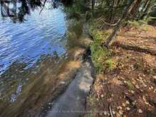 2 ISLAND 24LM (DENISON) | Gravenhurst Ontario | Slide Image Eight