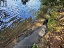 2 ISLAND 24LM (DENISON) | Gravenhurst Ontario | Slide Image Nine