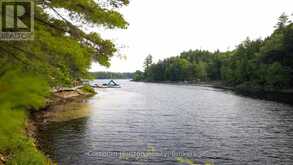 1316 WAHTA #2 ROAD S | Bala Ontario | Slide Image Fifty