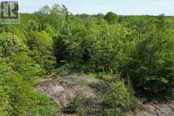 446 SOUTH BAY ROAD | Port Severn Ontario | Slide Image Seven