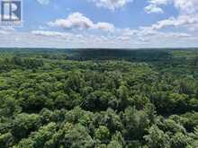 1098 OLD HWY 117 | Baysville Ontario | Slide Image Three