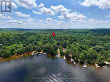 1098 OLD HWY 117 | Baysville Ontario | Slide Image Ten