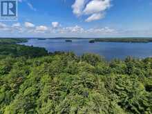 1098 OLD HWY 117 | Baysville Ontario | Slide Image Nine