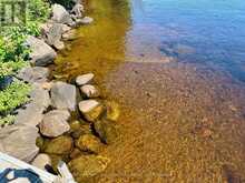 3 ROBINSON ROAD | Magnetawan Ontario | Slide Image Fifty