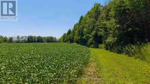 305 SIDEROAD 25 | Kincardine Ontario | Slide Image Two