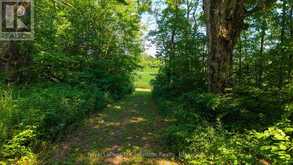 305 SIDEROAD 25 | Kincardine Ontario | Slide Image Three