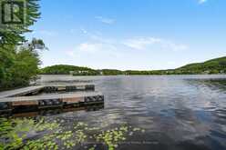 5 PLOUGHSHARE COURT | Haliburton Ontario | Slide Image Forty-six