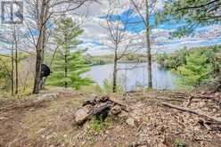 27 BEAUMONT BAY ROAD | Huntsville Ontario | Slide Image Thirty-two