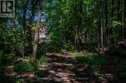 414616 BASELINE ROAD | Markdale Ontario | Slide Image Thirteen