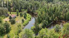 8488 COUNTY ROAD 503 ROAD | Kawartha Lakes Ontario | Slide Image Forty-two