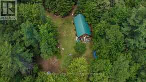 1101 LANGFORD ROAD | Baysville Ontario | Slide Image Two