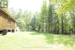 1101 LANGFORD ROAD | Baysville Ontario | Slide Image Twenty