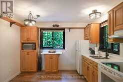 11230 HUNTER (WAO) ISLAND | Haliburton Ontario | Slide Image Seventeen