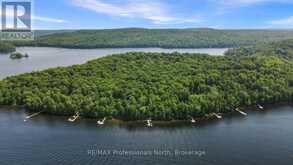 11230 HUNTER (WAO) ISLAND | Haliburton Ontario | Slide Image Two