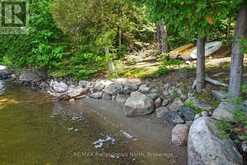 11230 HUNTER (WAO) ISLAND | Haliburton Ontario | Slide Image Forty-three