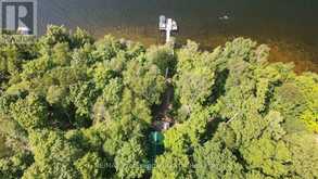 11230 HUNTER (WAO) ISLAND | Haliburton Ontario | Slide Image Forty-eight