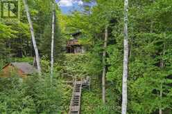 3359 MAPLE RIDGE ROAD | Lake of Bays Ontario | Slide Image Five