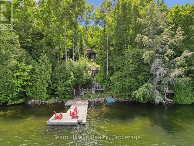 3359 MAPLE RIDGE ROAD Lake of Bays Ontario, P0A 1E0 - 3 Bedrooms Waterfront Home For sale